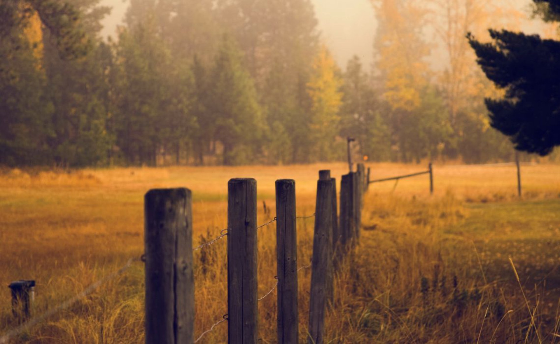 Making the most of the Autumn season