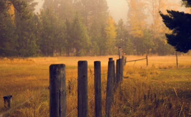 Making the most of the Autumn season