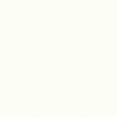 Premium White
