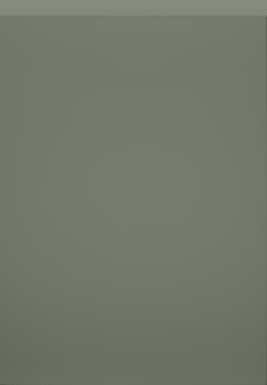 Regiment Matt & Gloss